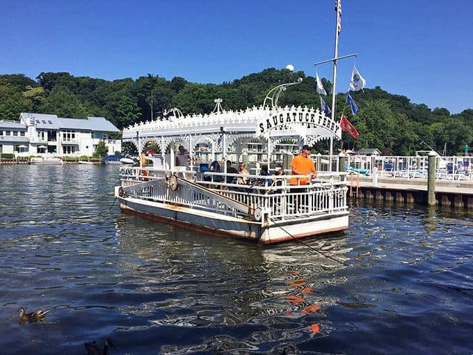 Star of Saugatuck boat on the water